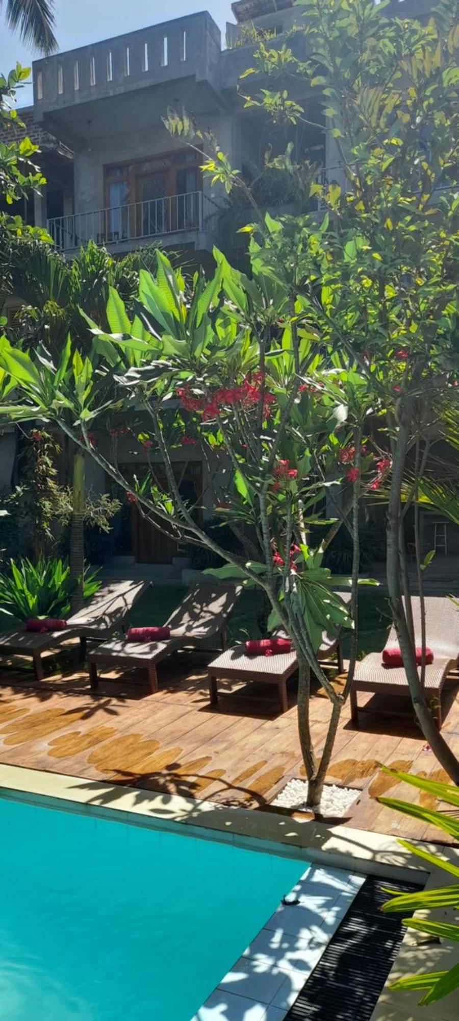 Hotel Surf Gangs Arugambay Arugam Bay Zewnętrze zdjęcie